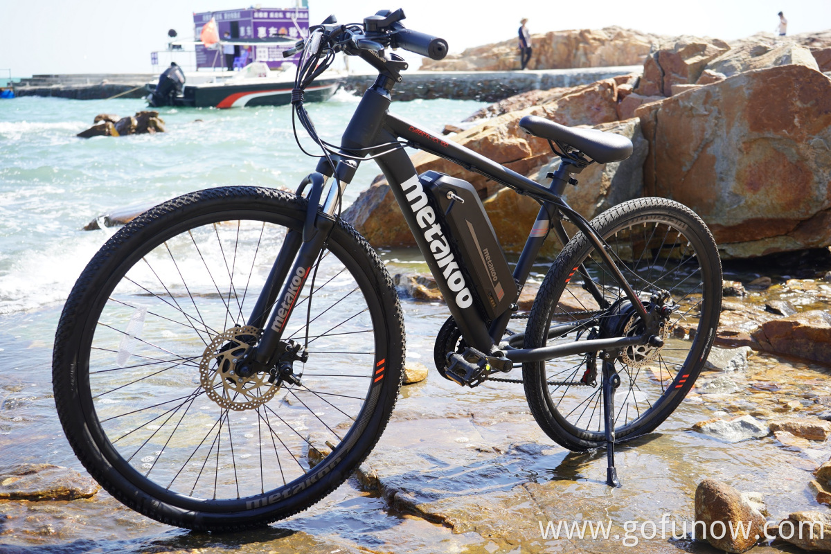 21 speed electric mountain bike / Aluminum frame 350w 36V 10ah electric bicycle,26
